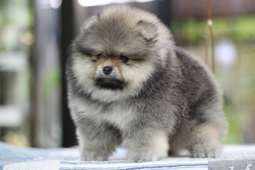 20200305 6 200305 0003