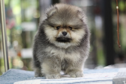 20200305 6 200305 0004