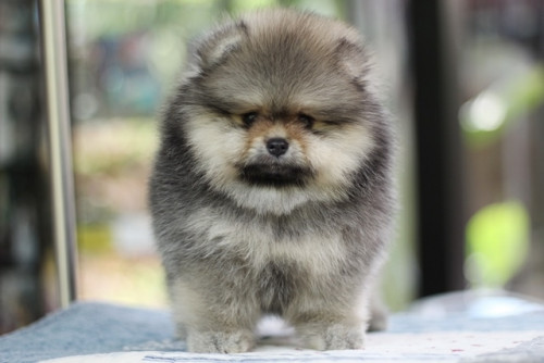 20200305 6 200305 0006