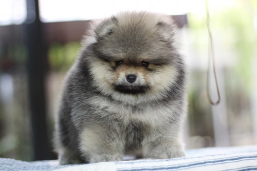 20200305 6 200305 0007