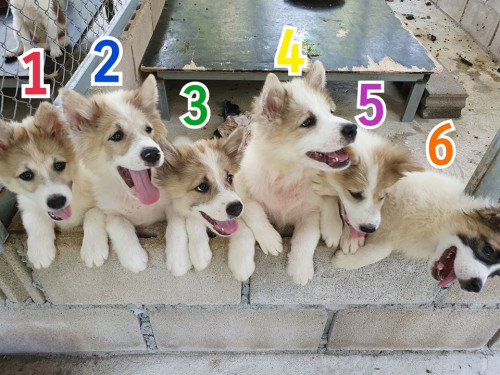 83954655 2815687468511079 8862542849246232576 o