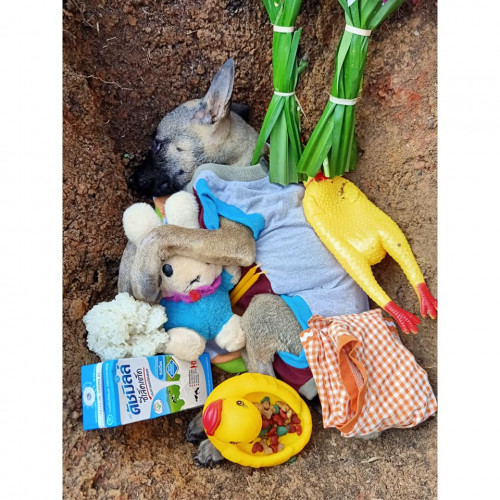 84119123 113713290235896 8762048358345867264 n