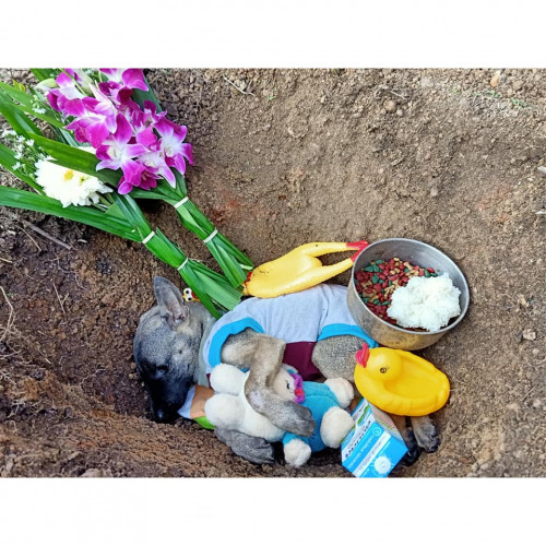 87761367 113713250235900 808148511068520448 n