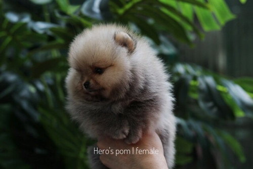 F14034 ๒๐๐๓๑๔ 0002