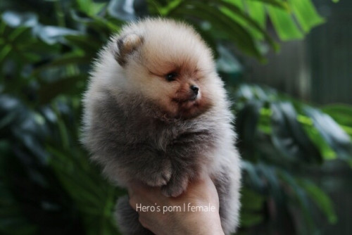 F14034 ๒๐๐๓๑๔ 0005