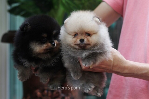 F14034 ๒๐๐๓๑๔ 0006