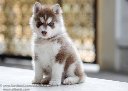 10411813 772460562788840 7945308332359706884 n