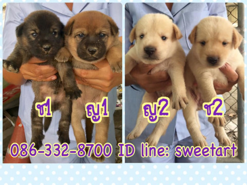 90019470 2791633330922450 7876977592891342848 n