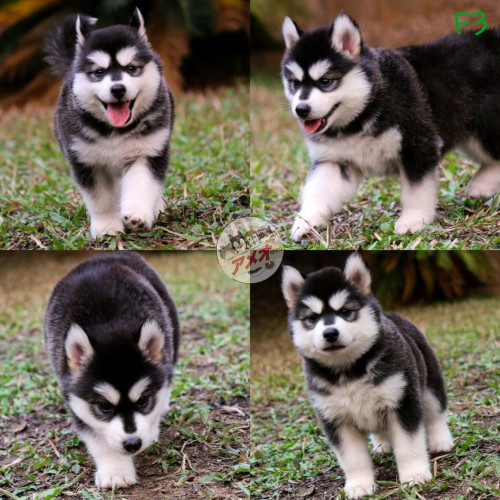 1660a404 9911 4647 8545 28844af40bc5