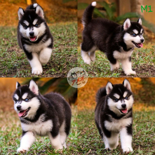 5ab14bb0 ede8 4f3f 80c4 3f835da82e62