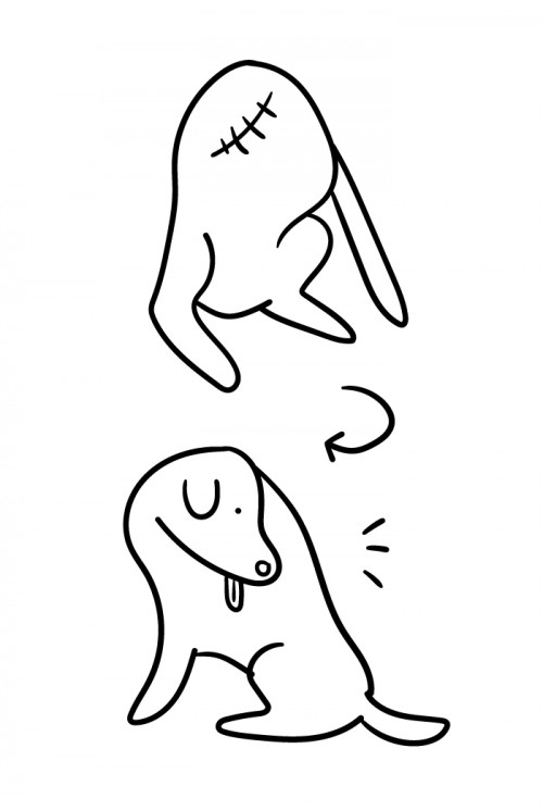 three legged dog confusing pic 9