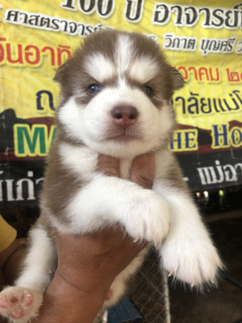 4F2BFB77 9C49 442B AB2F 1F2CDC3FF645