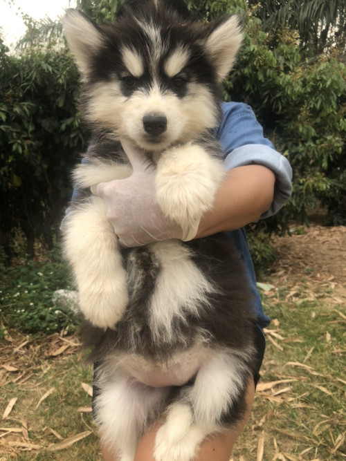 E692D2CB B915 47C9 9064 83A52027D96E