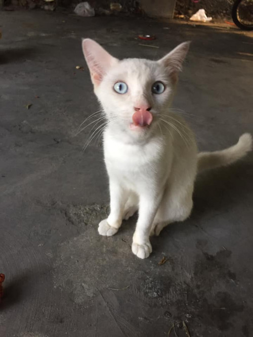 92523144 2824042317711932 323596292213178368 n