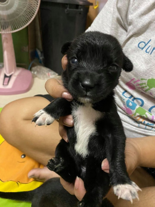 92913275 1535775973252735 6600661600561004544 o