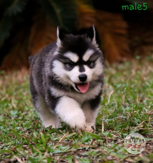 92732665 3886513191366470 8687285776725049344 o