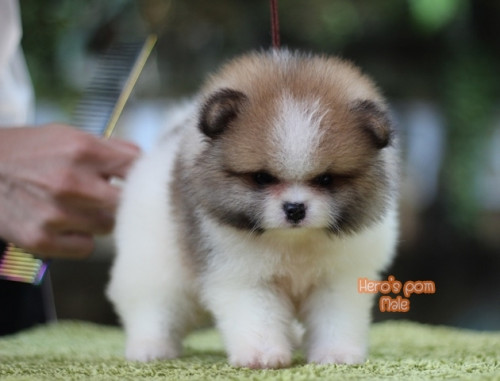 c48bf9fb0ea6bd04889fae8c7a65eee56 4620693218556897471 ๒๐๐๔๑๑ 0001