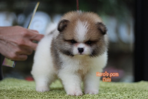 c48bf9fb0ea6bd04889fae8c7a65eee56 4620693218556897471 ๒๐๐๔๑๑ 0003