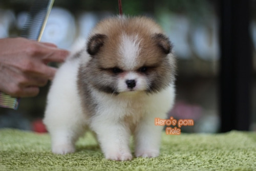 c48bf9fb0ea6bd04889fae8c7a65eee56 4620693218556897471 ๒๐๐๔๑๑ 0004