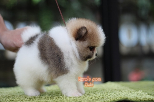 c48bf9fb0ea6bd04889fae8c7a65eee56 4620693218556897471 ๒๐๐๔๑๑ 0005