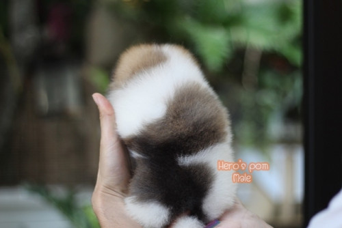 c48bf9fb0ea6bd04889fae8c7a65eee56 4620693218556897471 ๒๐๐๔๑๑ 0007