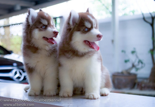 25074743 1743390219029198 1752270902295375908 o