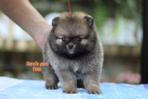 c48bf9fb0ea6bd04889fae8c7a65eee56 4620693218556897479 ๒๐๐๔๑๑ 0001