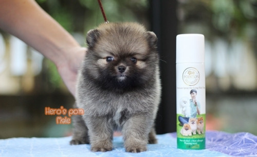 c48bf9fb0ea6bd04889fae8c7a65eee56 4620693218556897479 ๒๐๐๔๑๑ 0005