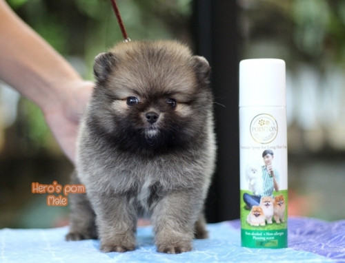 c48bf9fb0ea6bd04889fae8c7a65eee56 4620693218556897479 ๒๐๐๔๑๑ 0006