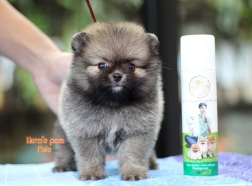 c48bf9fb0ea6bd04889fae8c7a65eee56 4620693218556897479 ๒๐๐๔๑๑ 0007