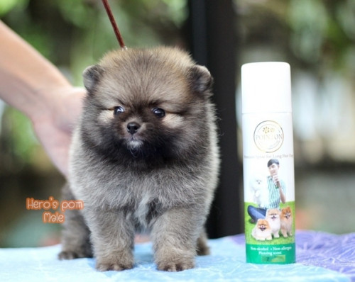 c48bf9fb0ea6bd04889fae8c7a65eee56 4620693218556897479 ๒๐๐๔๑๑ 0009