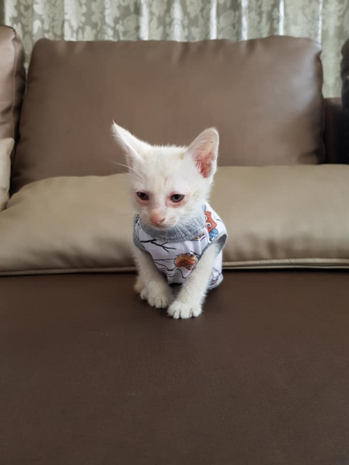 92981121 10213521824640501 91594425309855744 n