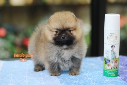 c48bf9fb0ea6bd04889fae8c7a65eee56 4620693218556897488 ๒๐๐๔๑๑ 0002