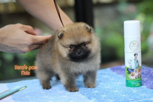 c48bf9fb0ea6bd04889fae8c7a65eee56 4620693218556897488 ๒๐๐๔๑๑ 0008