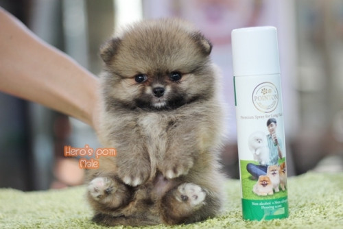 c48bf9fb0ea6bd04889fae8c7a65eee56 4620693218556897465 ๒๐๐๔๑๑ 0004