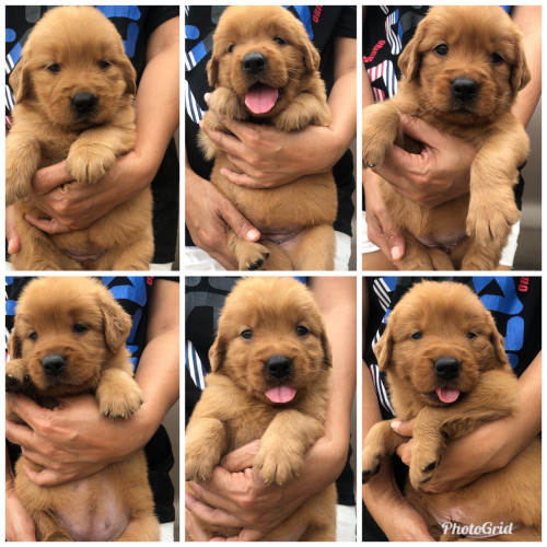 89BBD146 E664 4B50 A059 9508099BA937