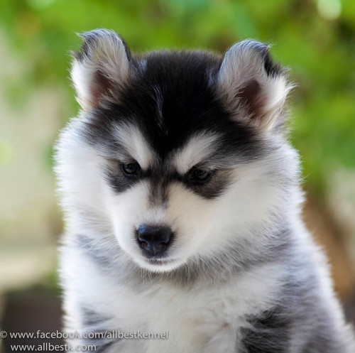 1656390 792737764094453 4741029464359815908 n