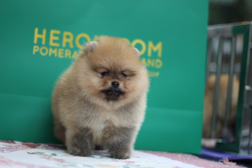 ผู้301 200501 0006