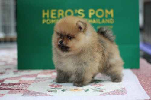 ผู้301 200501 0007