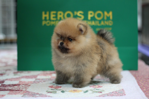 ผู้301 200501 0009