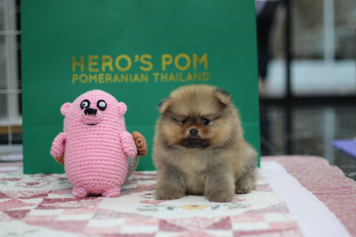 เมีย2 200501 0005