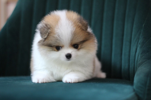 6563 2 ๒๐๐๕๐๖ 0004