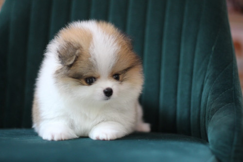 6563 2 ๒๐๐๕๐๖ 0005