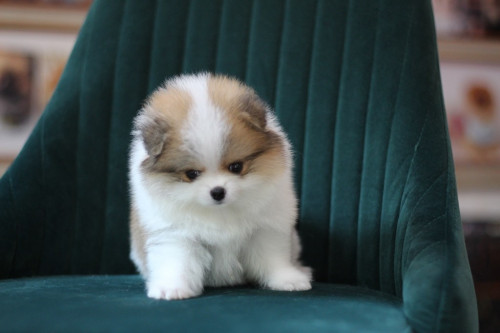 6563 2 ๒๐๐๕๐๖ 0006