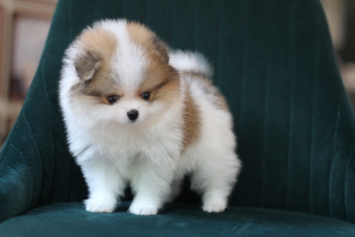 6563 2 ๒๐๐๕๐๖ 0007