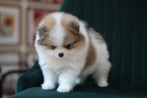 6563 2 ๒๐๐๕๐๖ 0008