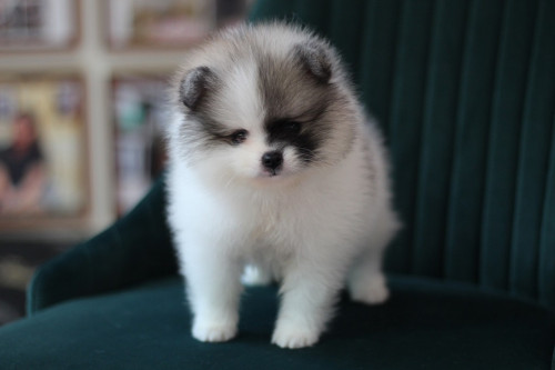 6563 1 ๒๐๐๕๐๖ 0011