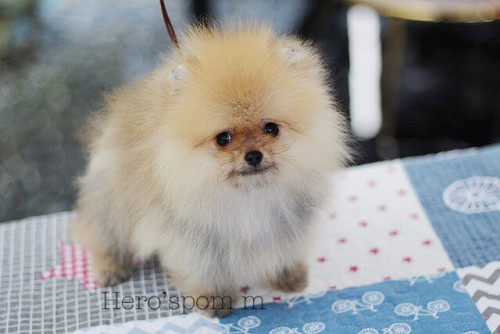 ผู้4เดือน 200111 0005