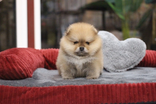 20200513 2 200514 0002