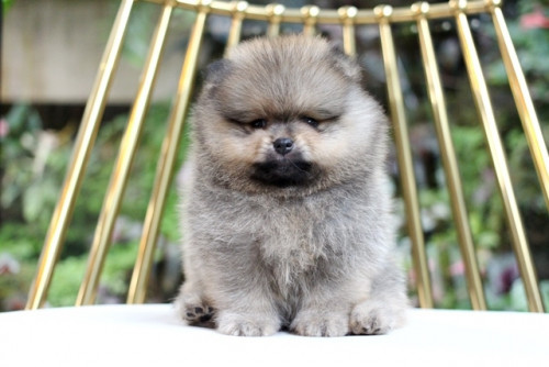 20200514 3 200515 0011